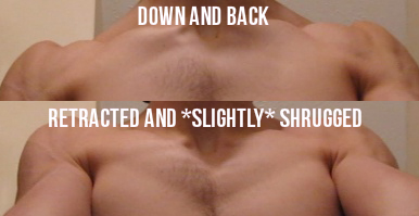 The Best Damn Guide for Building Upper Chest Size and Strength