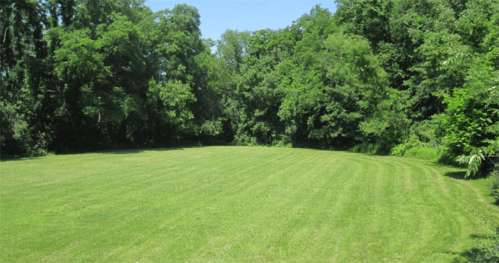 Backyard Tricking