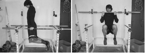 Power tower for home garage gym