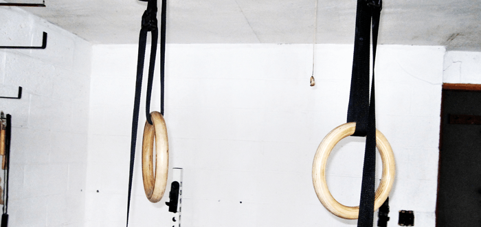 Gymnastics Rings for Garage Home Gym