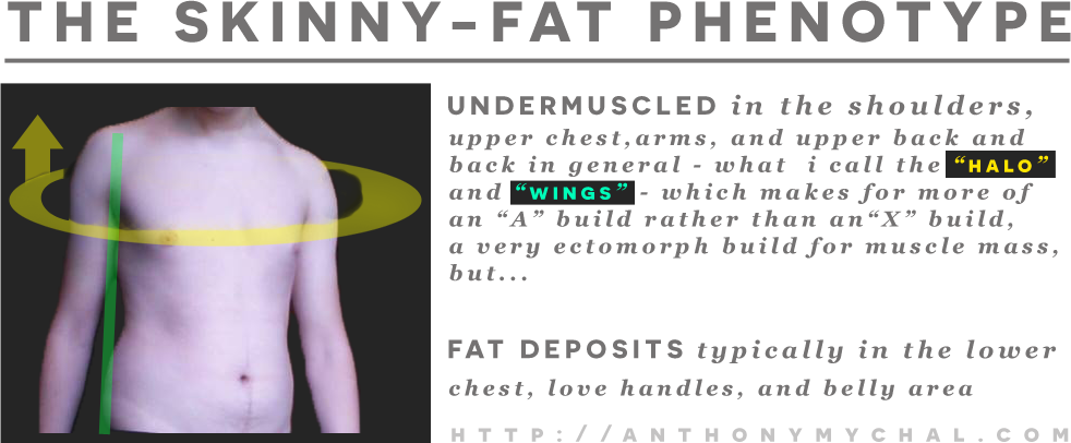 What Is the Skinny Fat Body Type