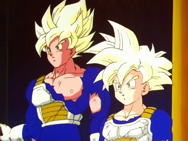 dragon ball z goku and gohan in the hyperbolic time chamber