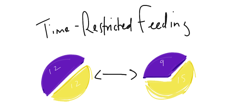 time restricted fasting feeding window